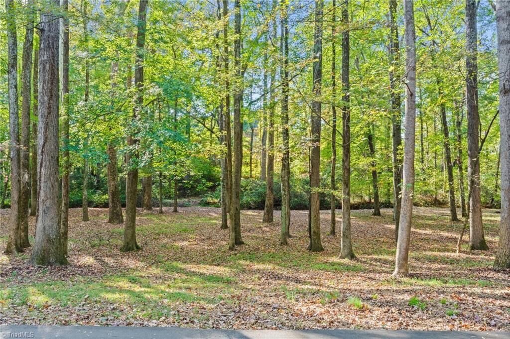 Property Photo:  720 Saint Cloud Drive  NC 28625