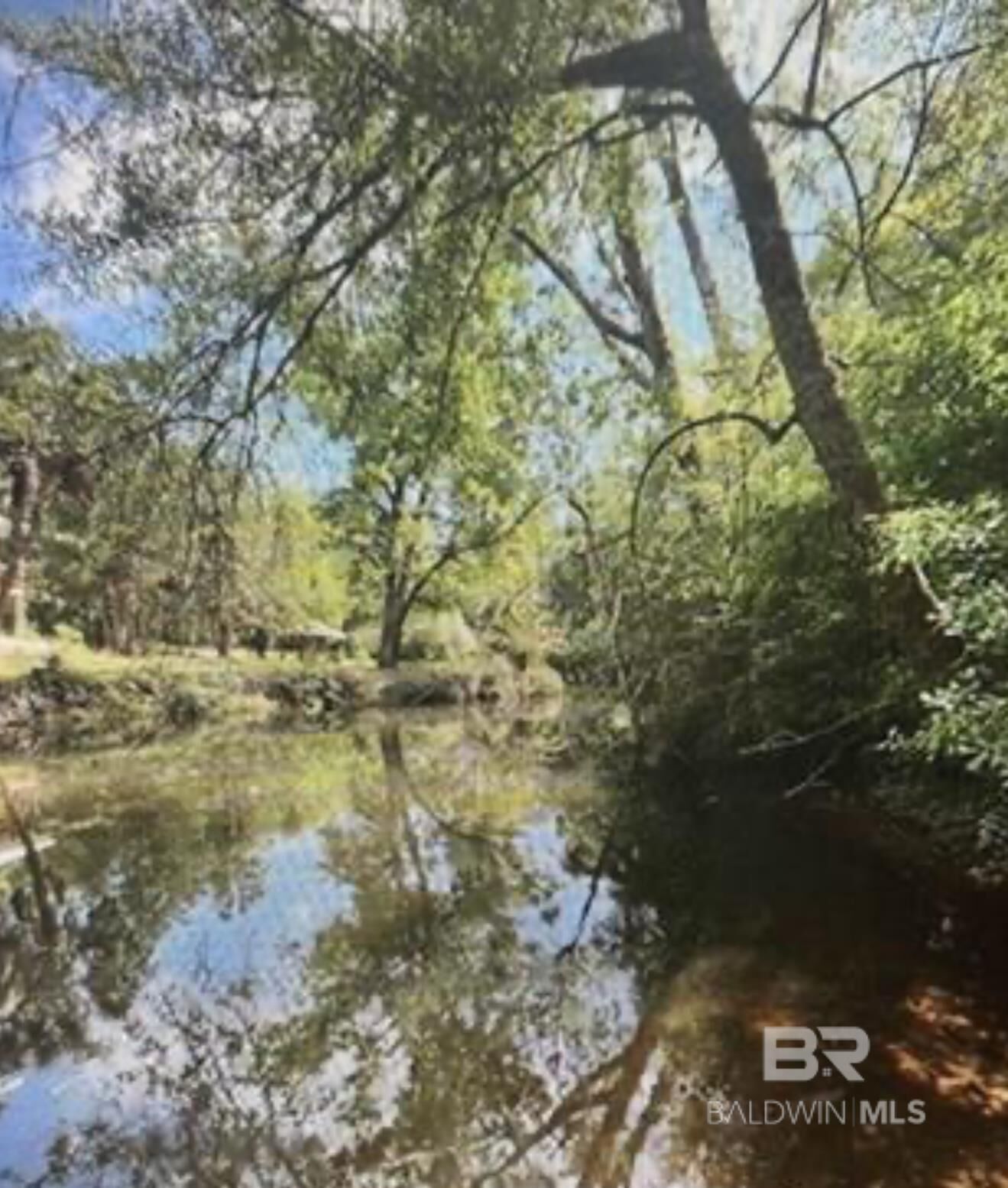 Property Photo:  0 W Woodhaven Dairy Road  AL 36576 