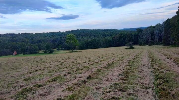 Property Photo: 45 Kronus Road NY 14838