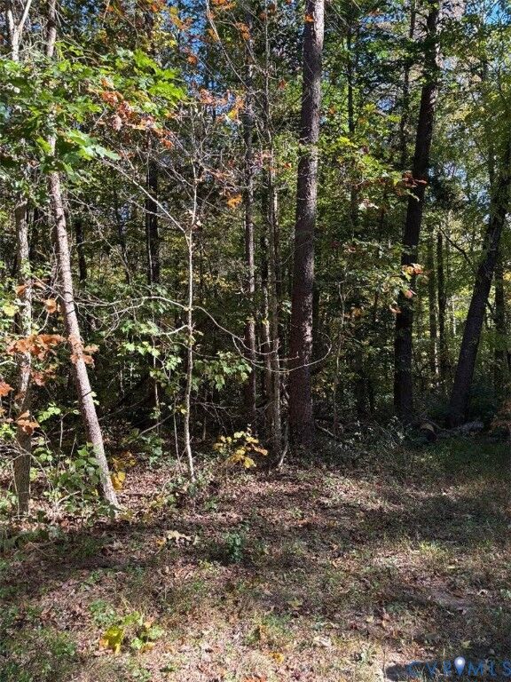 Property Photo:  0 Stokes Station Road  VA 23063