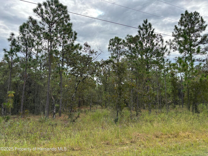 Property Photo:  Lot 2 Jenifer Lane  FL 34614 