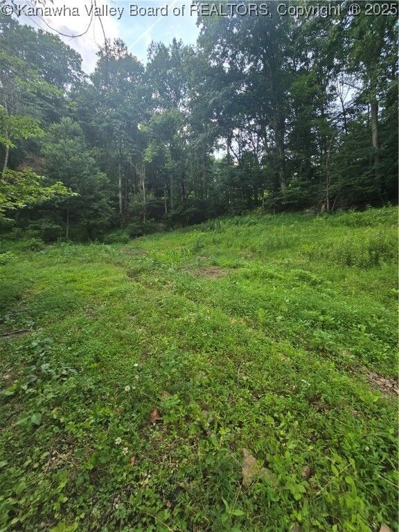 79 Manistee Lane  Charleston WV 25313 photo