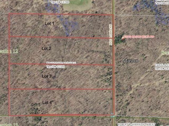 Property Photo: Lot 2 Mason Delta Rd WI 54856