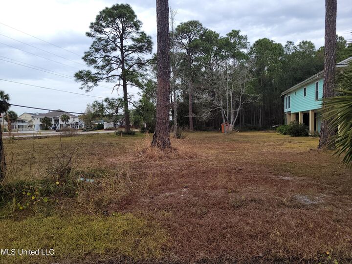 Property Photo: Castle Street MS 39571