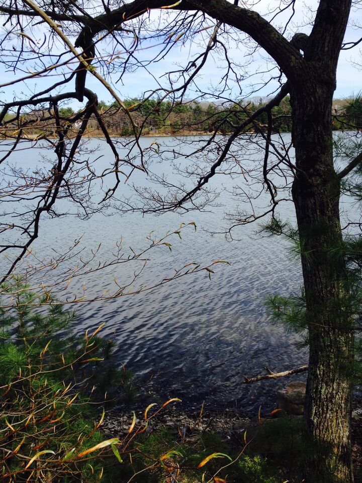 Property Photo:  18 Peterson Lane  ME 04011 