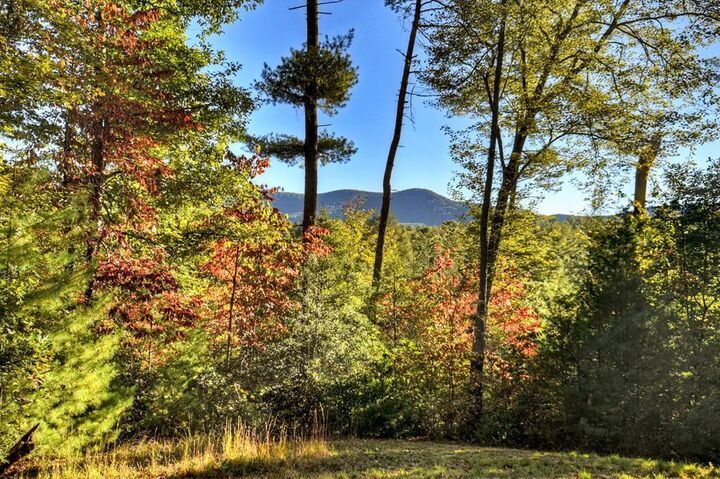 Property Photo: 12.64 Ac Harrison Sluder Road GA 30540