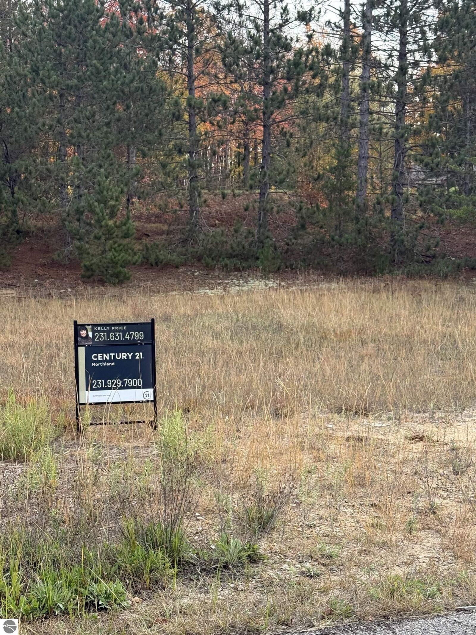 Property Photo: 9606 Chippewa Drive MI 49659