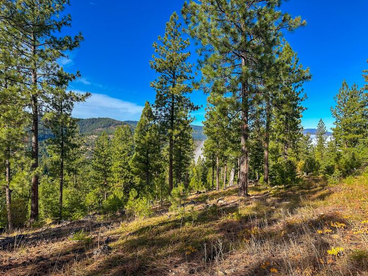 Property Photo:  Nhn Pats Knob Road  MT 59859 