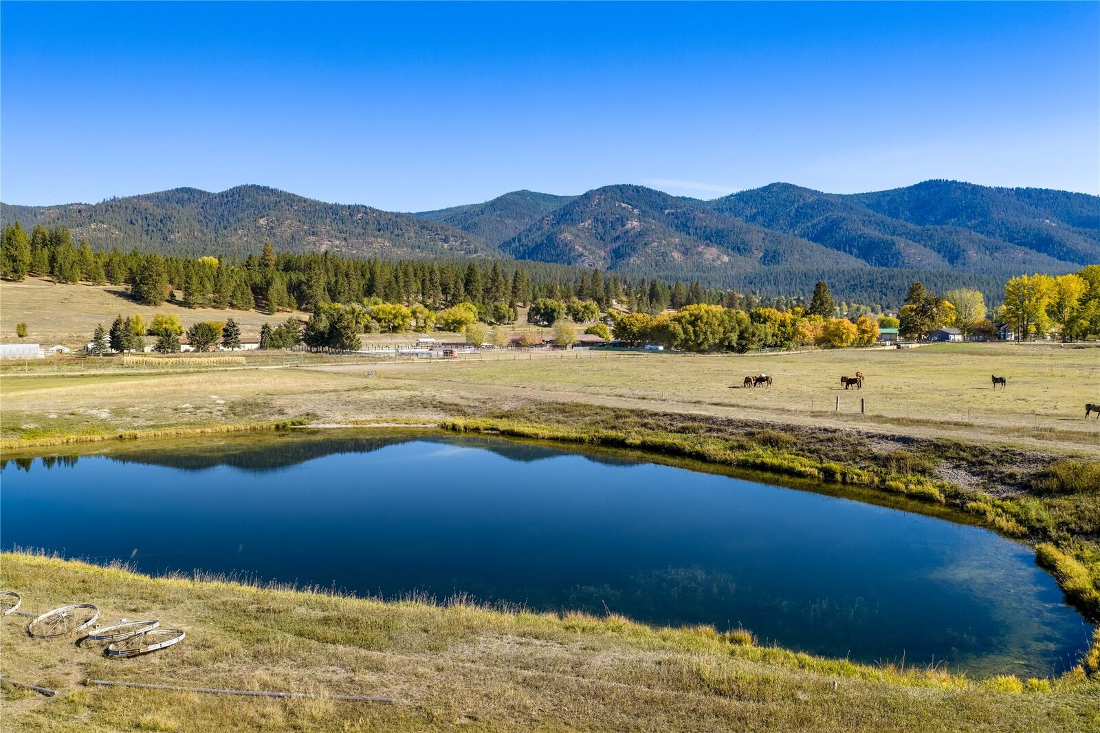 Property Photo:  16605 Fox Hill Drive  MT 59834 