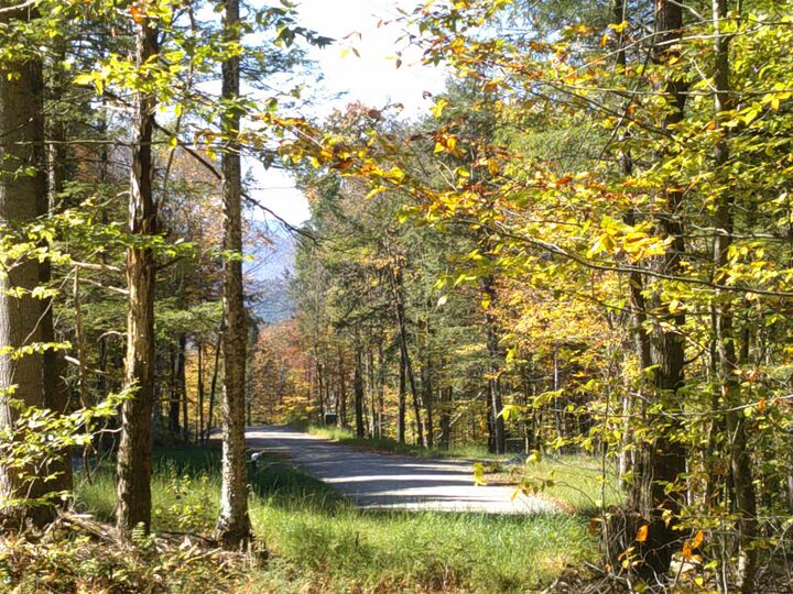 Property Photo:  0 Dogwood Springs Road  VT 05672 