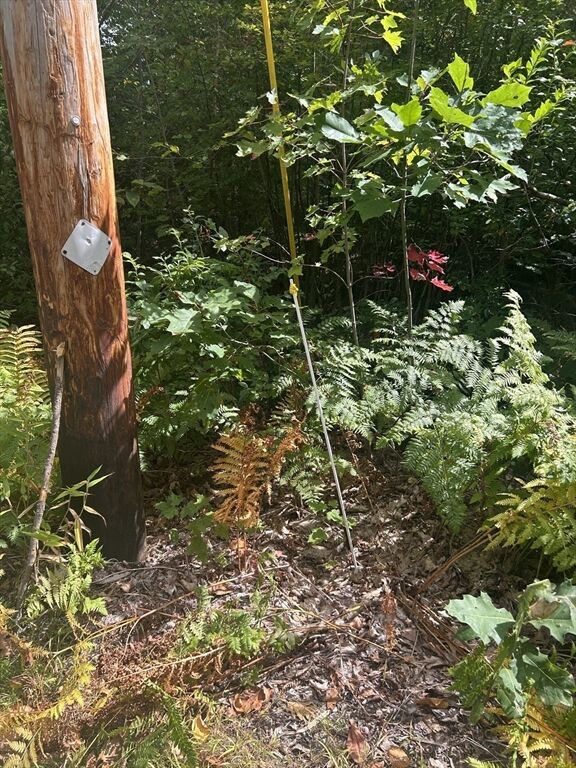 Property Photo:  531 Mason Rd  MA 01431