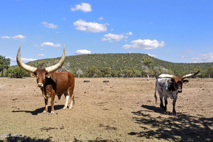Property Photo: 33425 W Cowboy Clint Way AZ 86337