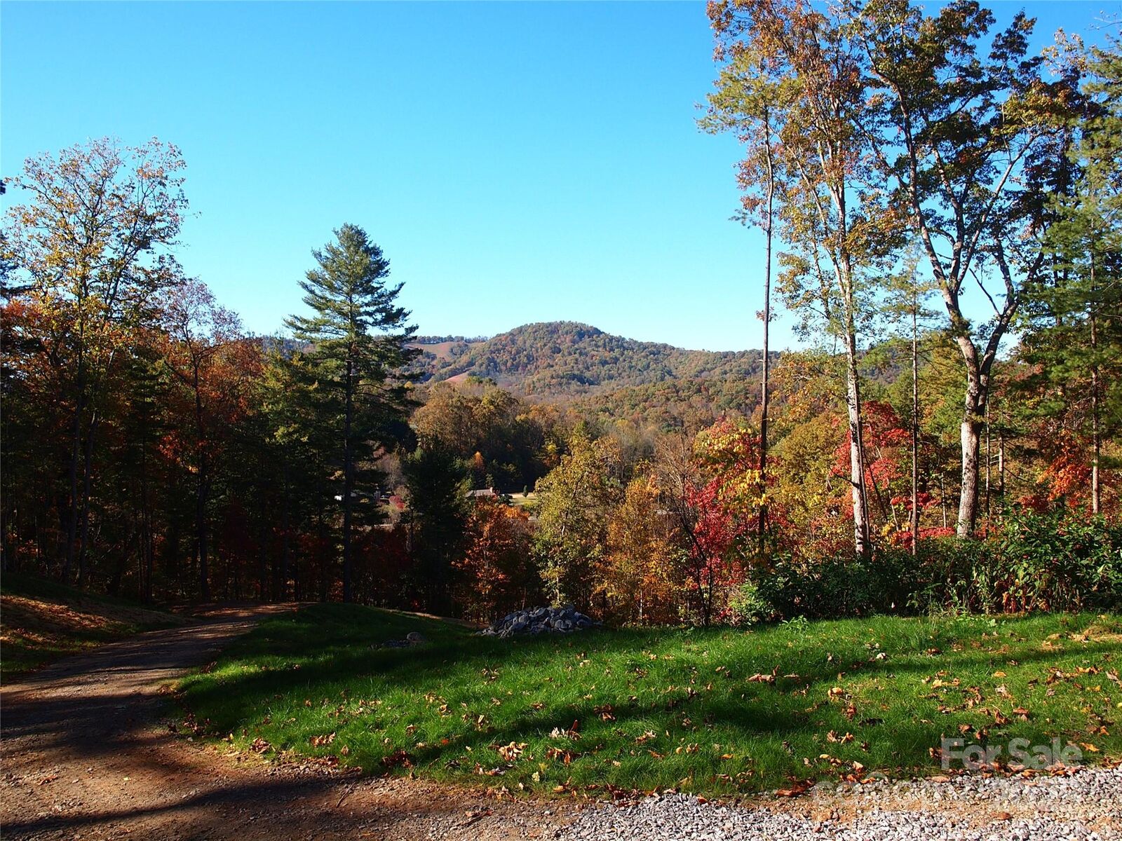 Property Photo:  188 Longue Vue Lane  NC 28716