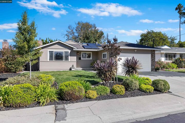 928 Flint Ave  Concord CA 94518 photo
