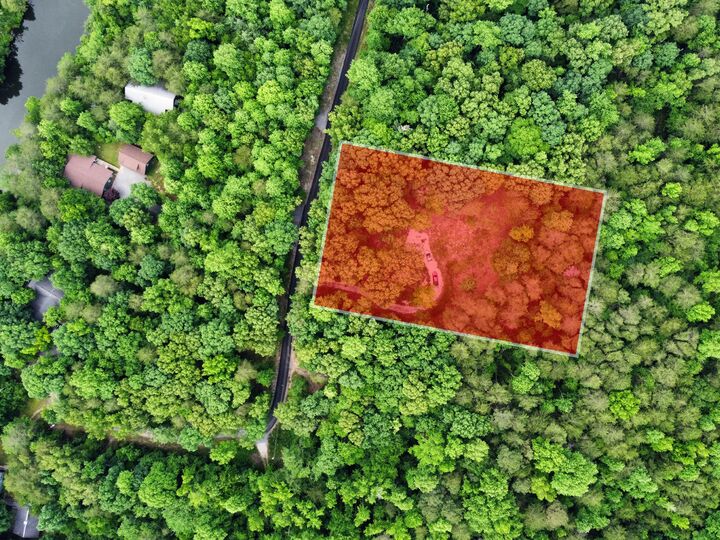 Property Photo:  255 Libby Lane  AL 35984