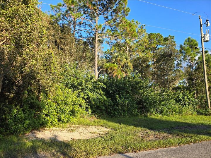 Property Photo:  6012 Sara Avenue N  FL 33971