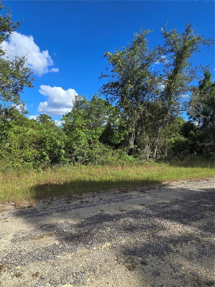 Property Photo:  419 Wilder Avenue S  FL 33974