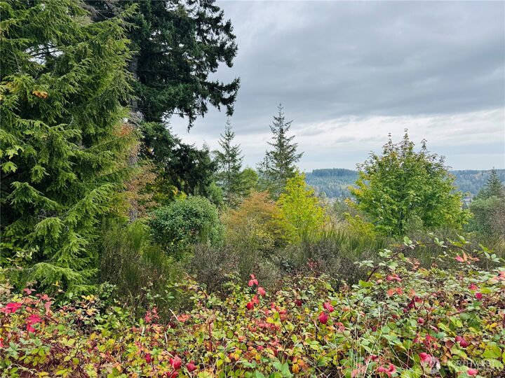 Property Photo: 181 E Rainier Court WA 98524