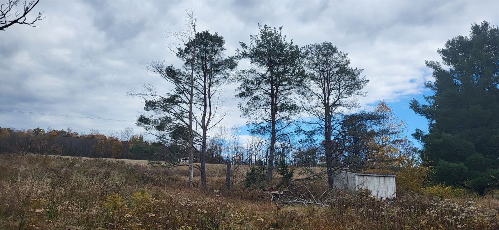 Property Photo:  288 Lewis Street  NY 13760 