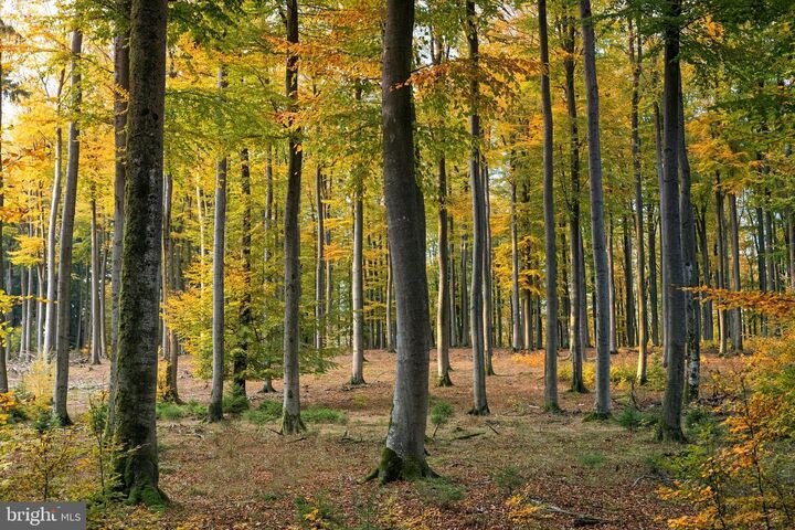 3865 Burnt House Hill Rd  Doylestown PA 18902 photo