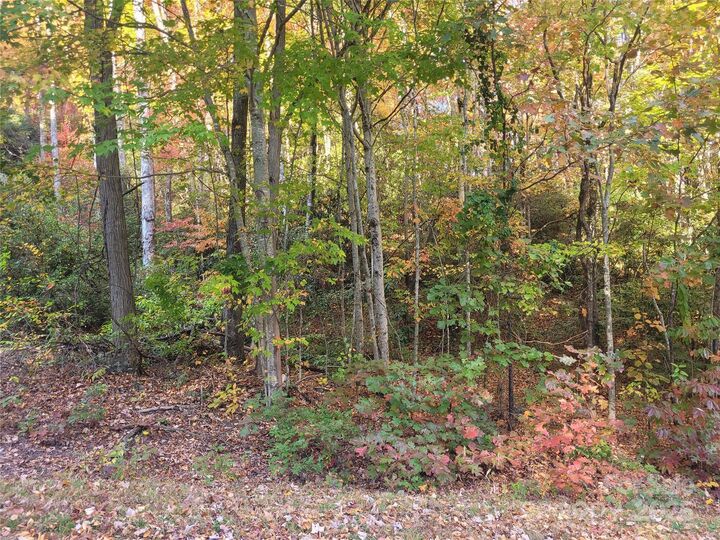 Property Photo: 000 Sheepback Mountain Road NC 28751