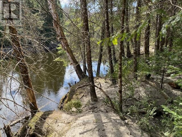 Photo de la propriété:  0 County Road 503  ON K0M 2A1