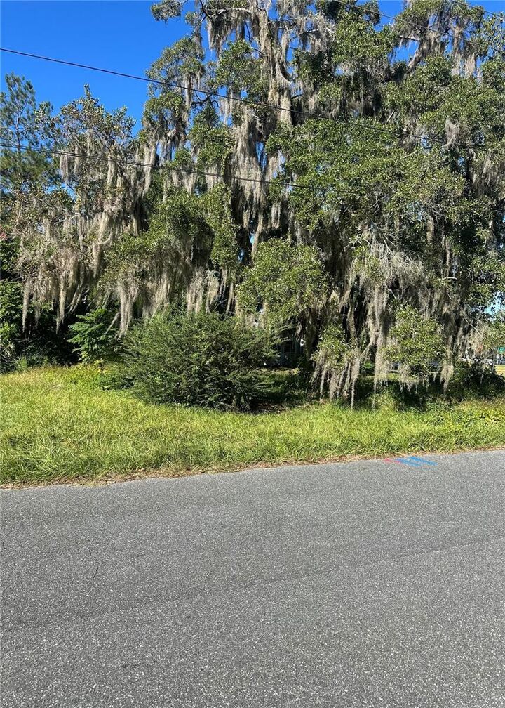 Property Photo:  Lot 8 NE 1st Street  FL 32696 
