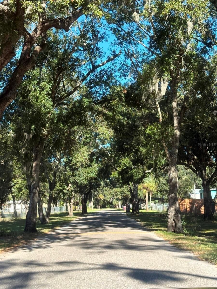Property Photo:  2603 Goldwyn Drive  FL 33570