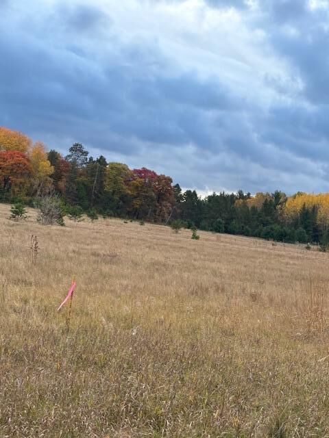 Property Photo: Tbd Tract D Gunpowder Road MN 56465