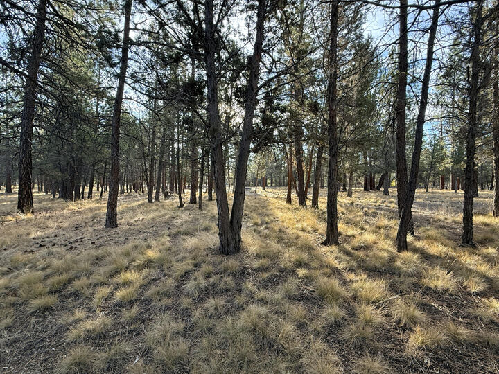 Property Photo: 63510 Gold Spur Way OR 97703