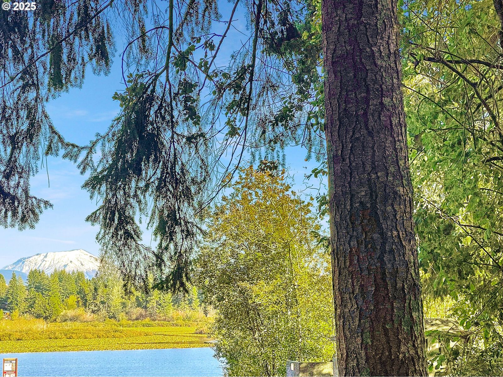 Property Photo:  300 Kerr Rd  WA 98645 