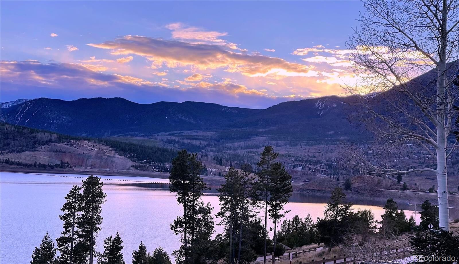 Property Photo:  244 Lodgepole Street 36  CO 80435