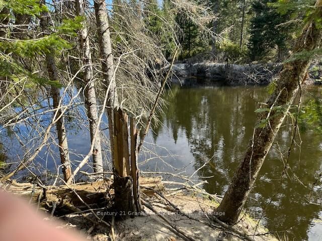 Property Photo:  0 County Road 503 N/A  ON K0M 2A1 