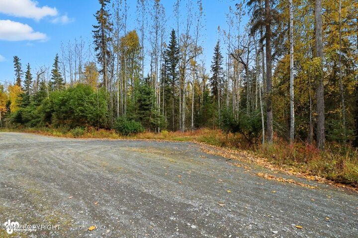 Property Photo: 000 Ansel Street AK 99669