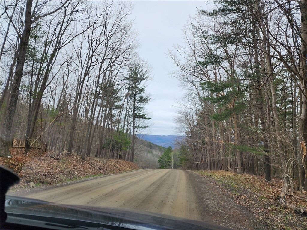 Property Photo: 6220 Feenaughty Hill Road S NY 14823