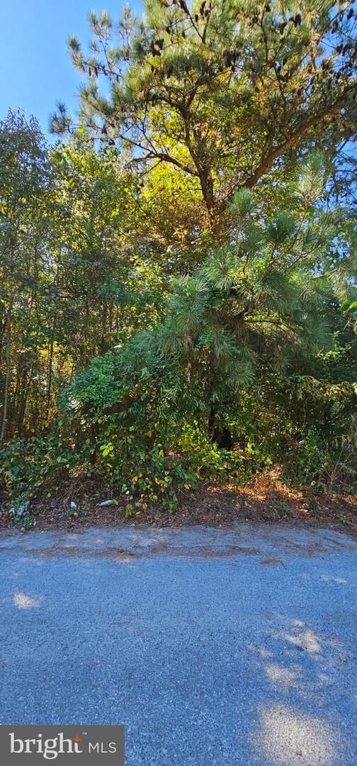 Property Photo:  Lot 6 Thelma Court  DE 19950