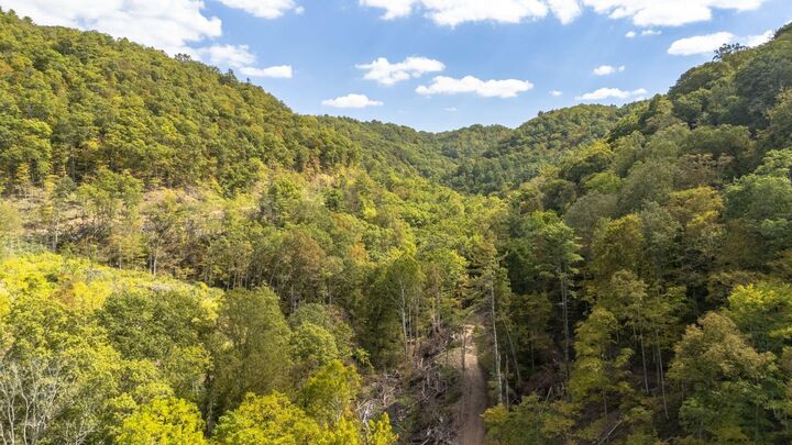 Property Photo:  Ellison Ridge Rd  WV 25969 