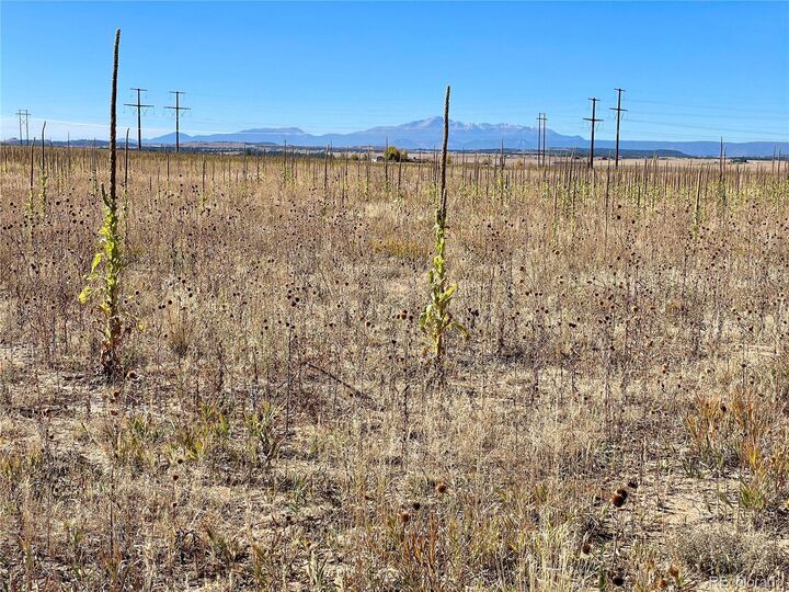 Property Photo:  1 County Road 98  CO 80106 