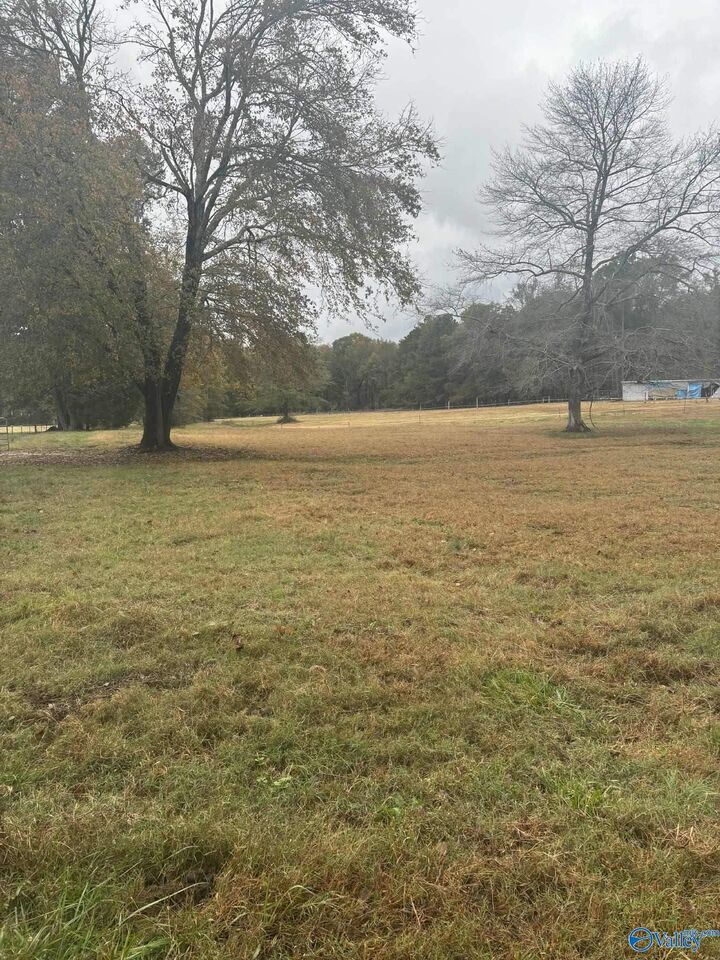 Property Photo:  8 Acres County Road 301  AL 35673 