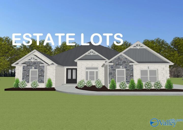 Williamson - B Newby Chapel Road  Athens AL 35613 photo