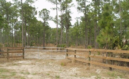 Property Photo:  Tbd County Rd 512  FL 32948 