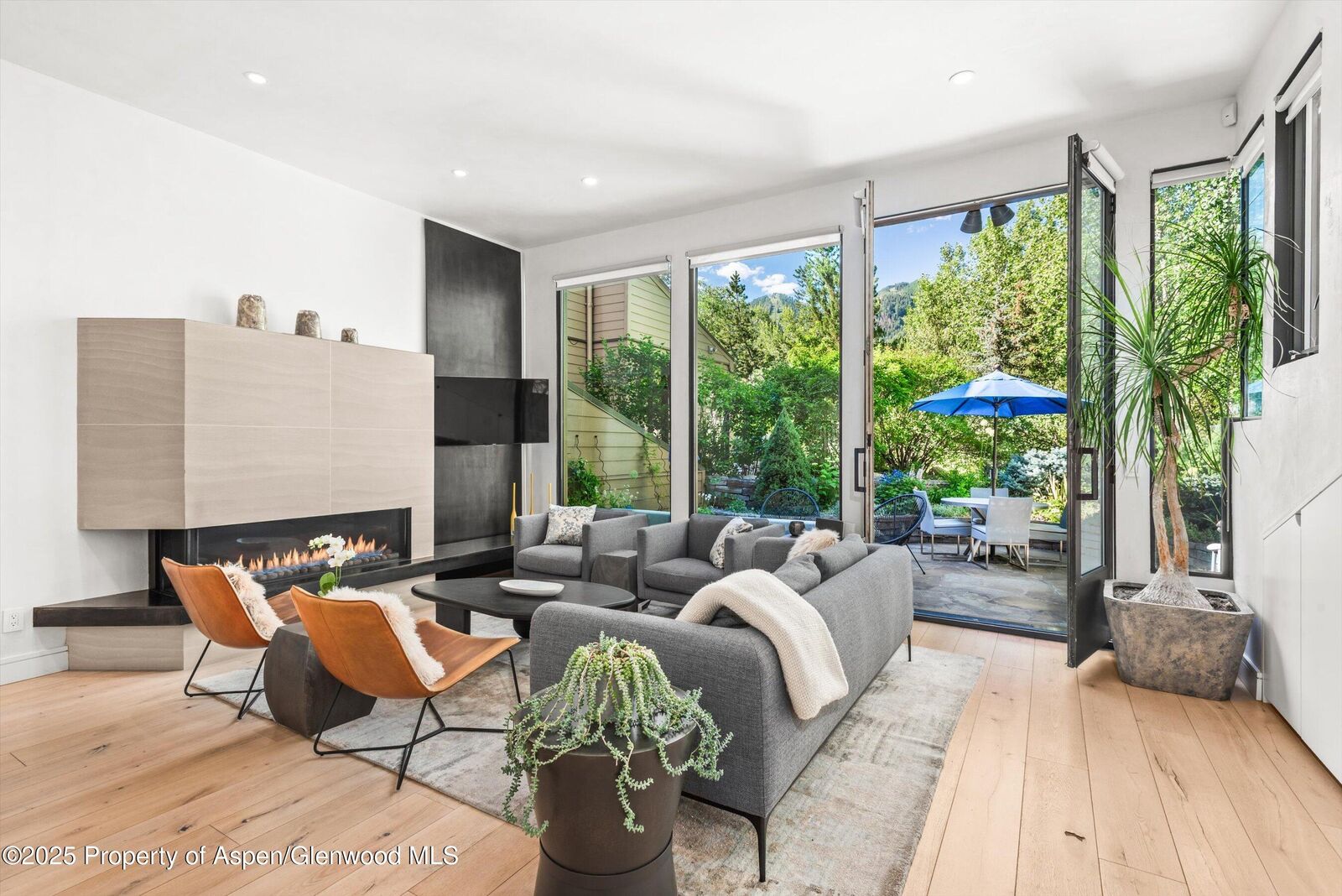 Property Photo:  155 Lone Pine Road /River Bluff C2  CO 81611 