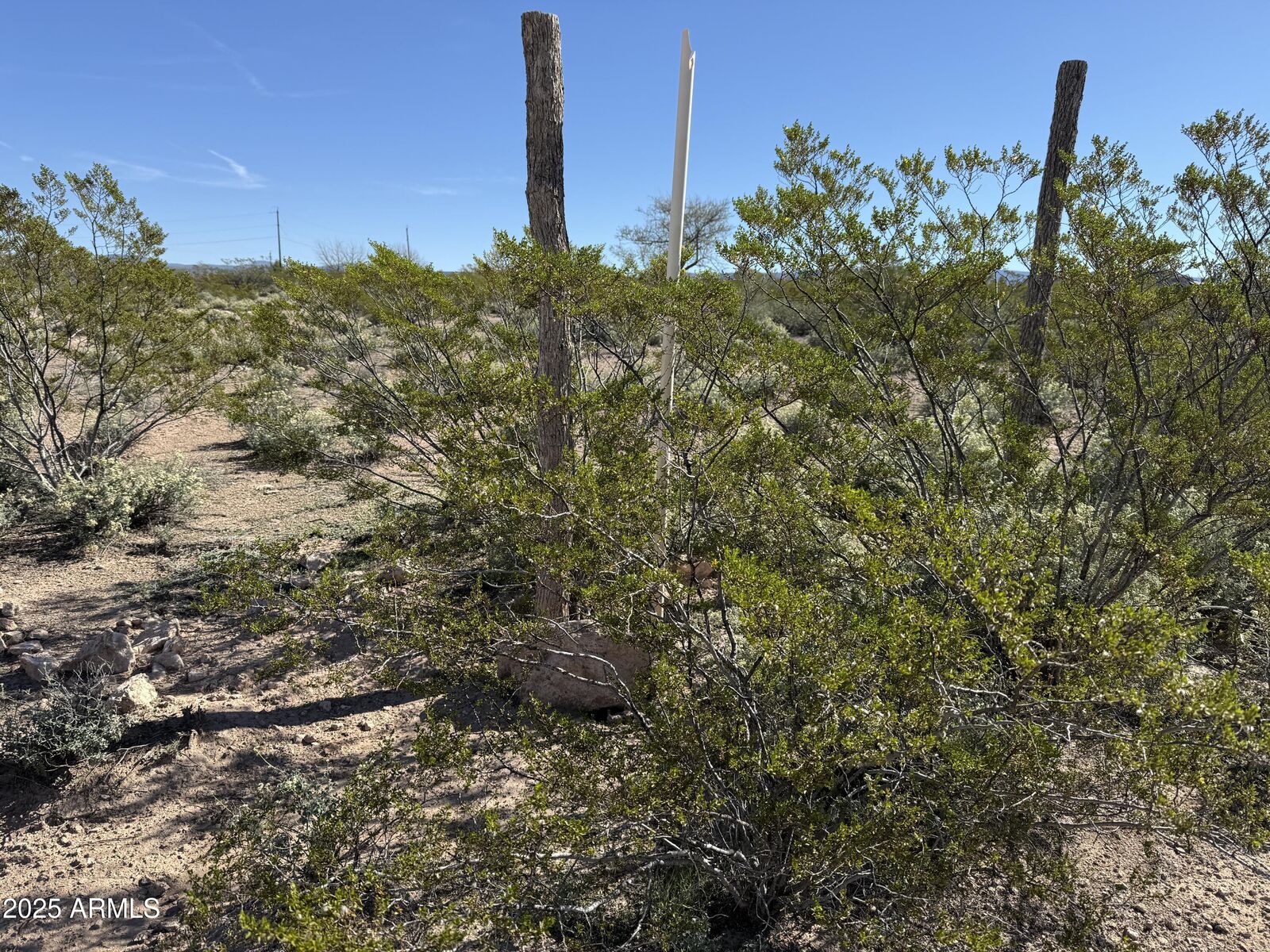 Property Photo:  5164-J N Camino Vista Drive N 2  AZ 86335