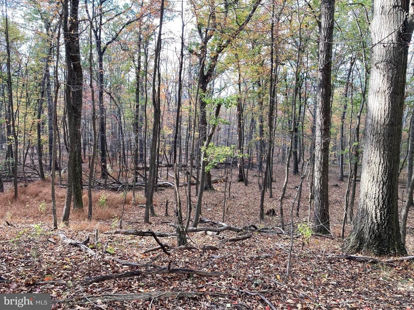 Property Photo: Big Horn Trail WV 26704