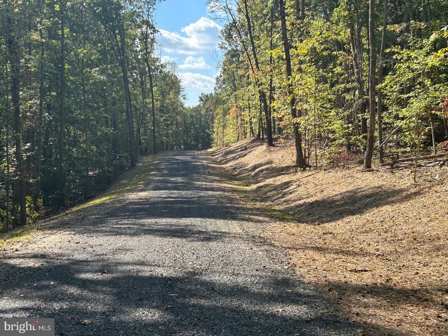 Property Photo:  Parcel 20 Kipps Lane  VA 22718 
