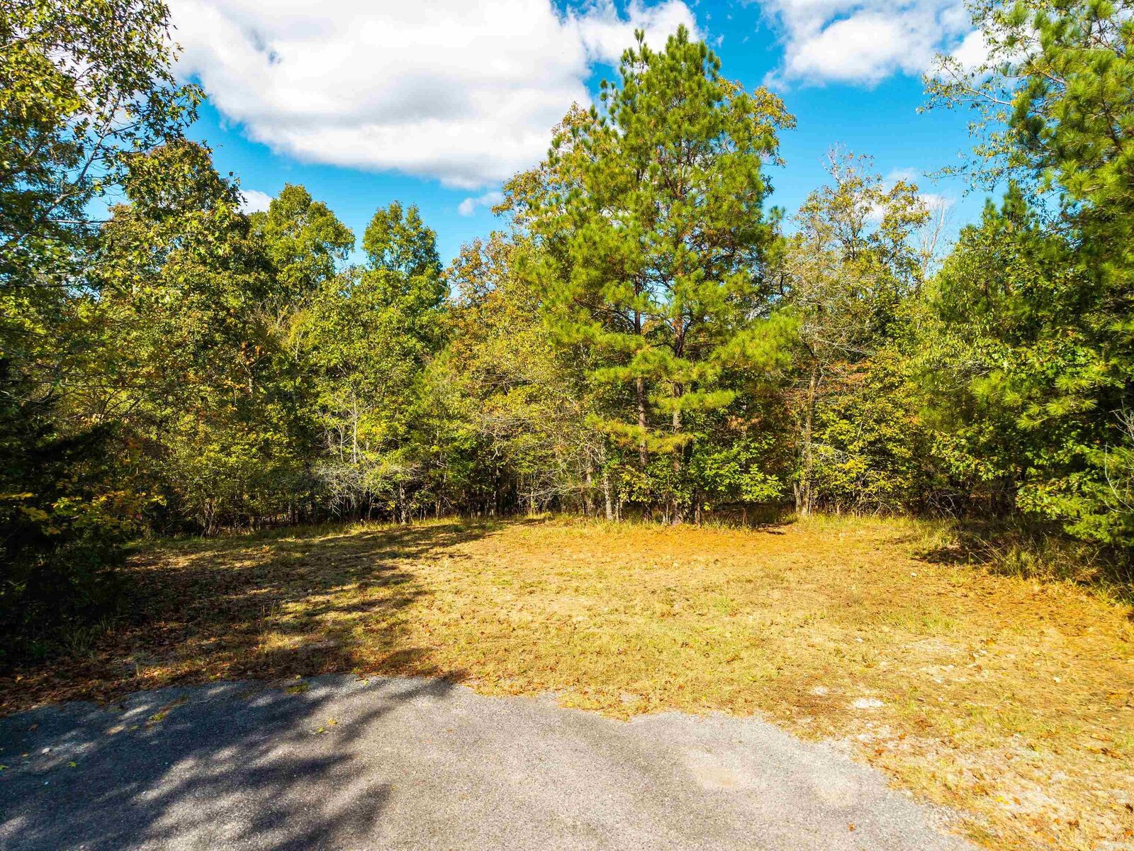 Property Photo: Tbd Dove Pl AR 71913