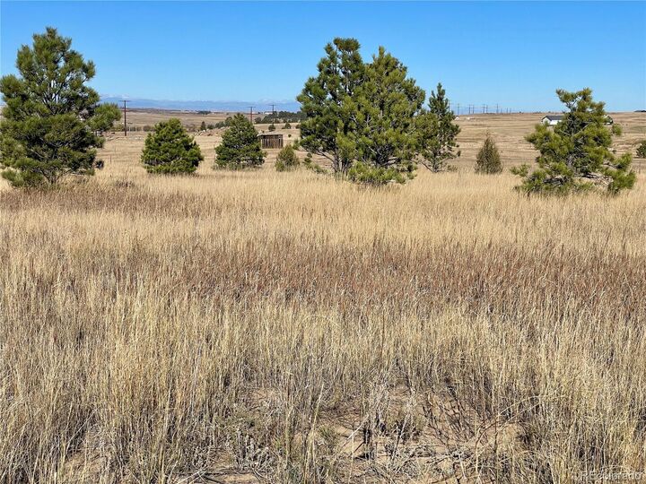 Property Photo: Parcel A County Road 98 CO 80106