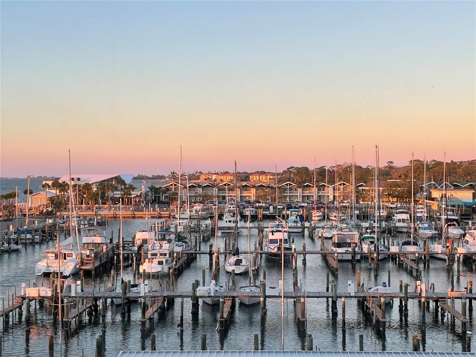 Property Photo:  634 Edgewater Drive 447  FL 34698