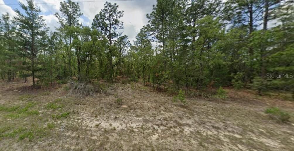 Property Photo:  6657 N Waterman Drive  FL 34433