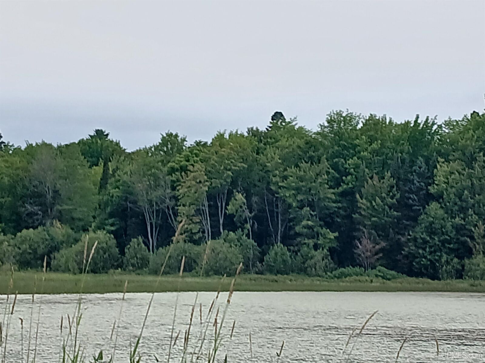 Property Photo:  Parcel 7 Keweenaw Pass Road  MI 49945 